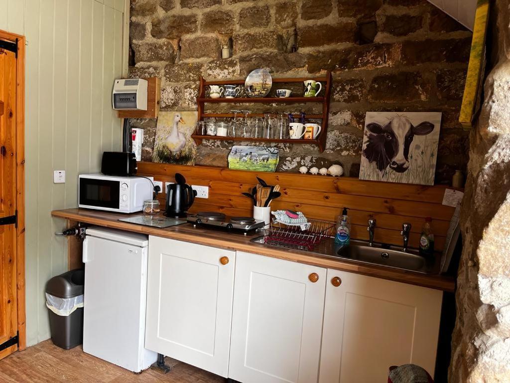 Campsite Shepherd's Hut Bilsdale