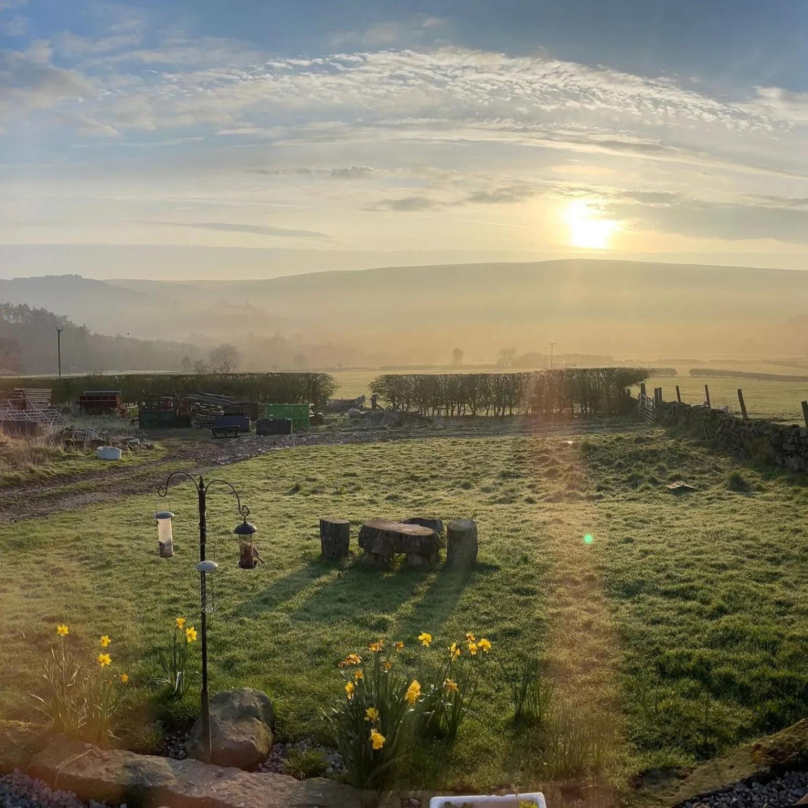 Campsite Shepherd's Hut Bilsdale