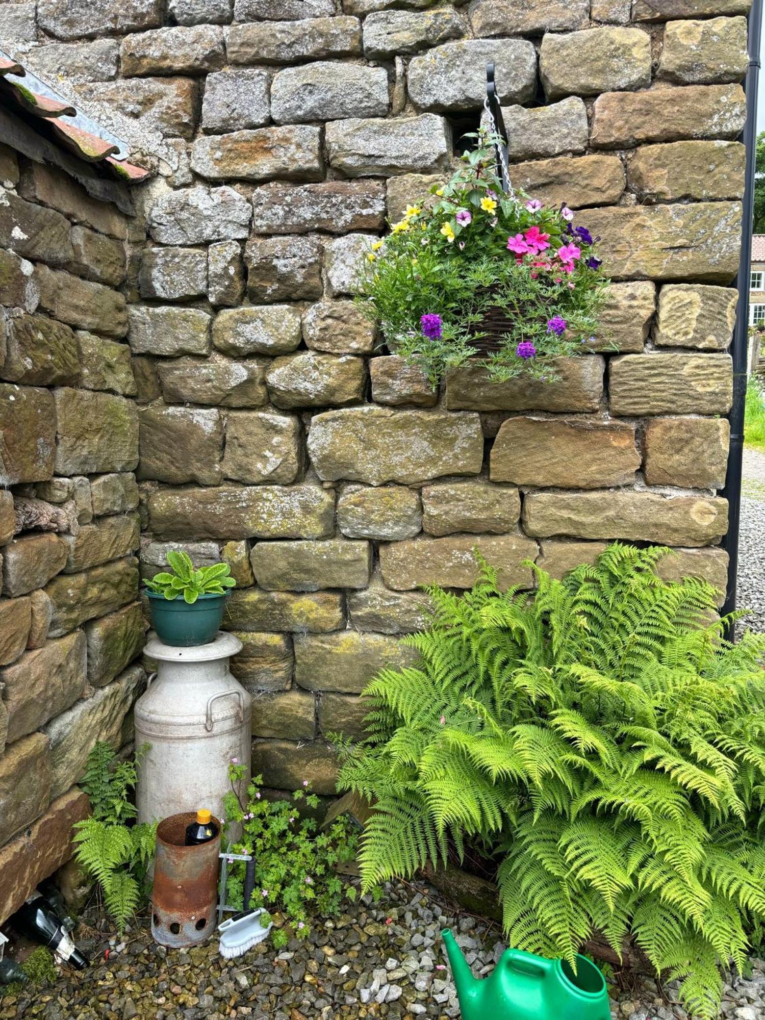 Campsite Shepherd's Hut Bilsdale